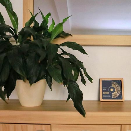 Apartmany Na Sumave Kasperske Hory Extérieur photo