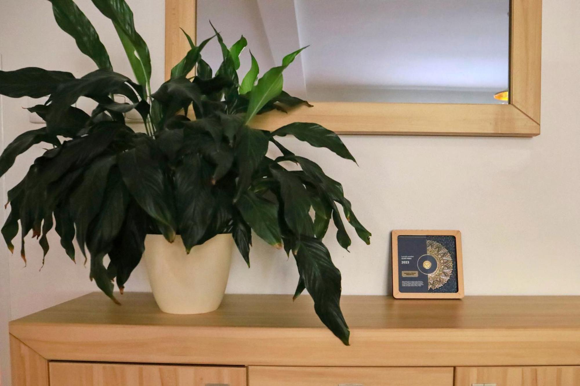 Apartmany Na Sumave Kasperske Hory Extérieur photo